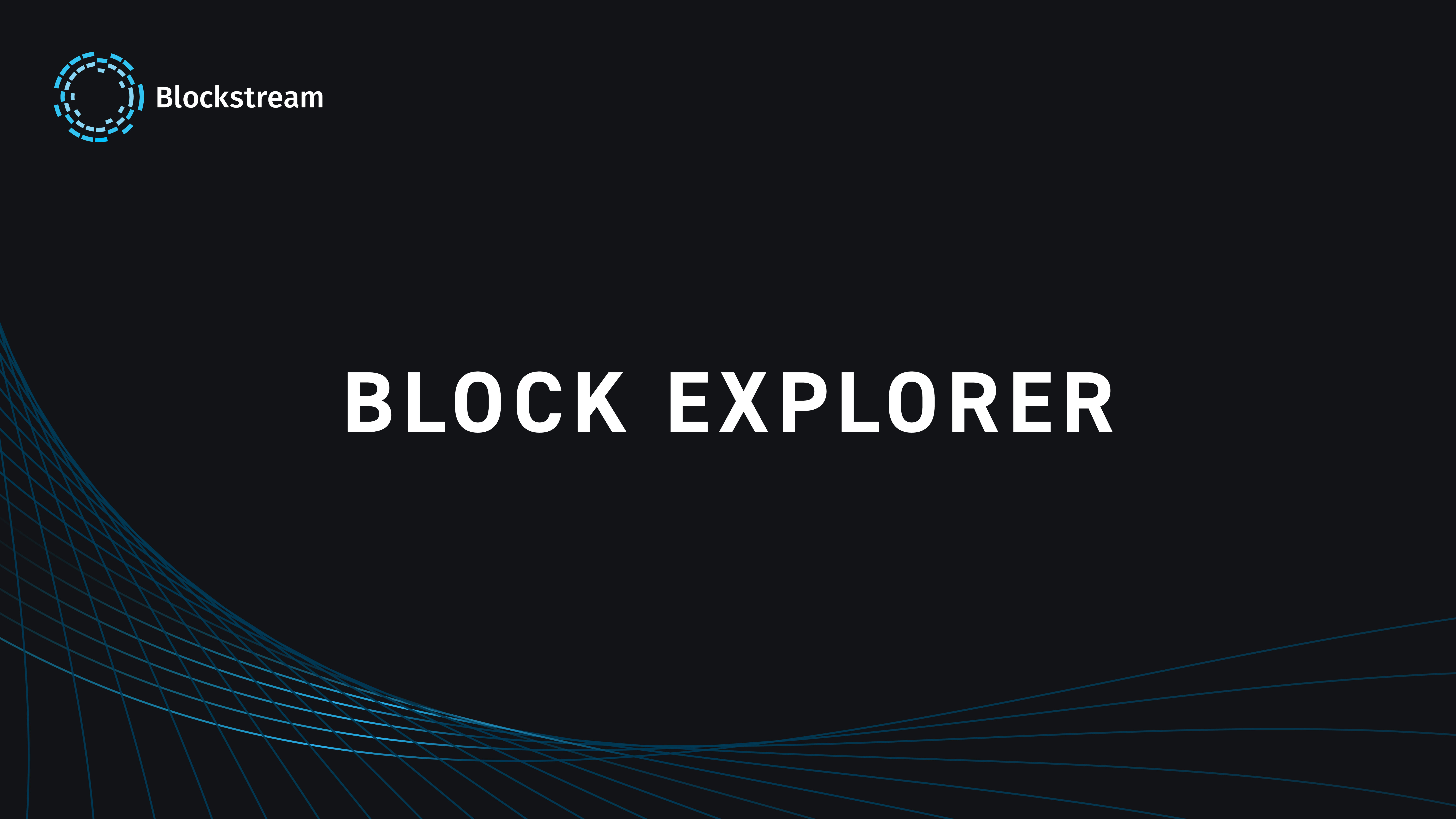 Blockstream Explorer logo